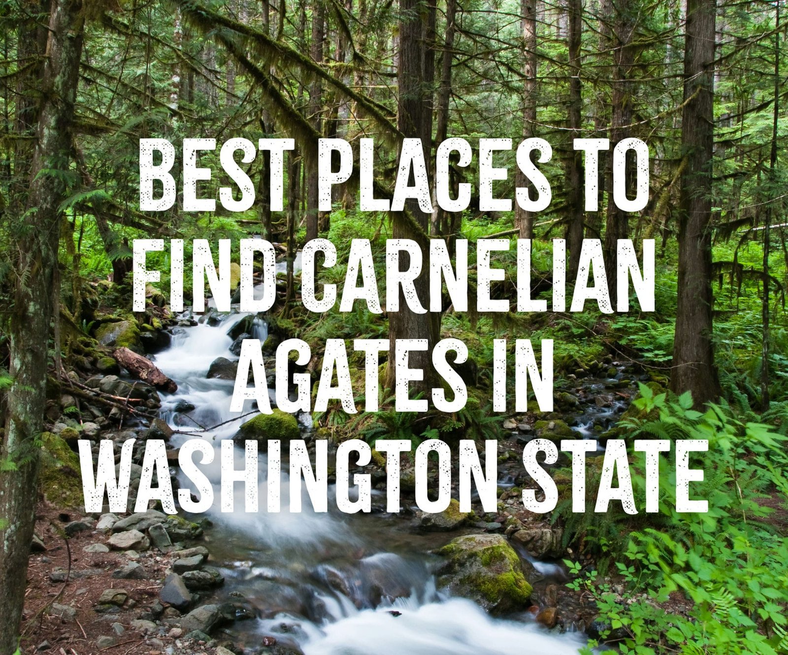Best Places to Find Carnelian Agates in Washington State