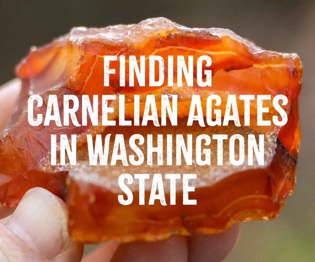 Finding Carnelian Agates in Washington State