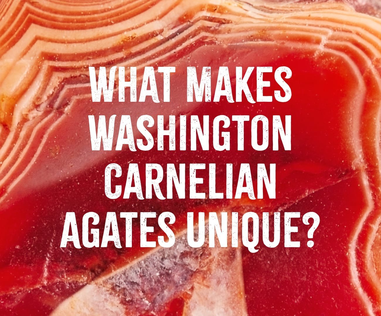 What Makes Washington Carnelian Agates Unique?
