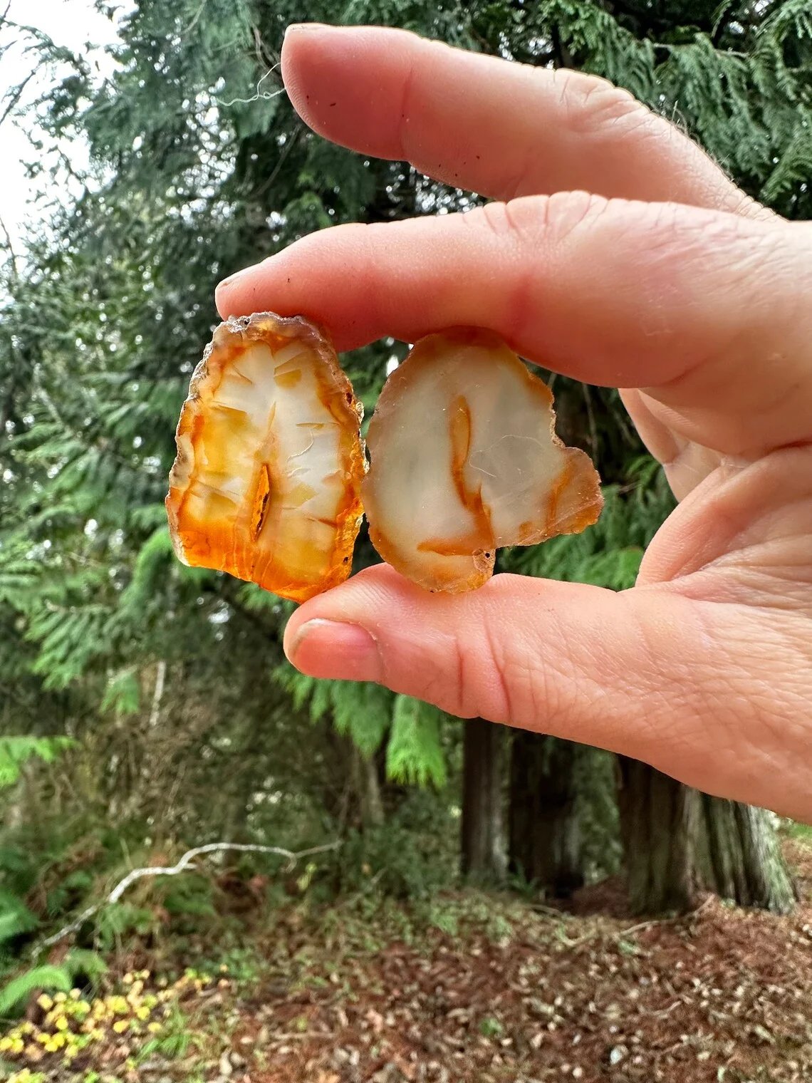 Large carnelian agate nugget in hand outdoors